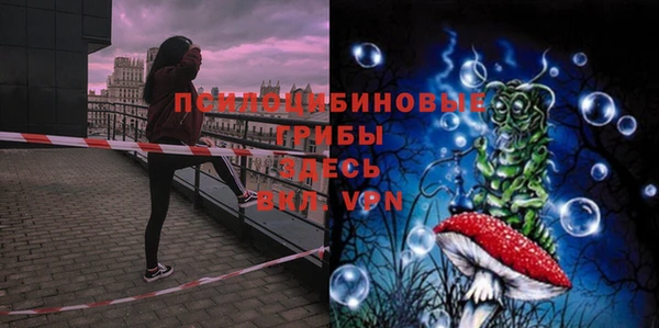 спиды Дмитровск